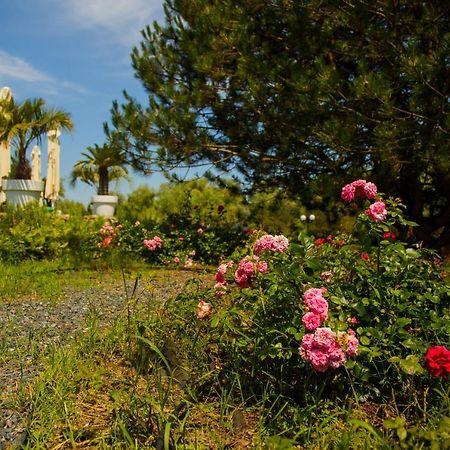 New Egreta Resort Дунавэцу-де-Жос Экстерьер фото